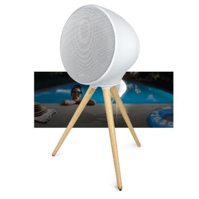 MUSE Enceinte portable  ML-655 BT - 100W sur Batterie Bluetooth - LED dambiance  - IPX4 Resistance aux projections deau