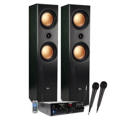 EVIDENCE ACOUSTICS Ensemble Colonnes HIFI/Home-Cin&eacute;ma 1000W PMPO - Enceintes EA-800-PG - Ampli st&eacute;r&eacute;o 100W - USB MP3 SD Bluetooth FM - 2 Micros karaok&eacute; 