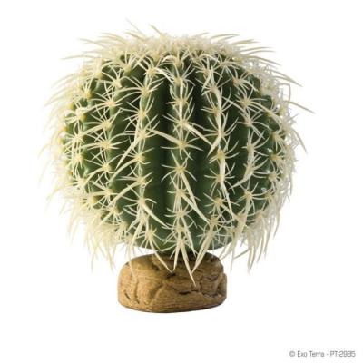 EXO TERRA Exoterra D&eacute;coration Cactus Oursin pour Reptiles et Amphibiens