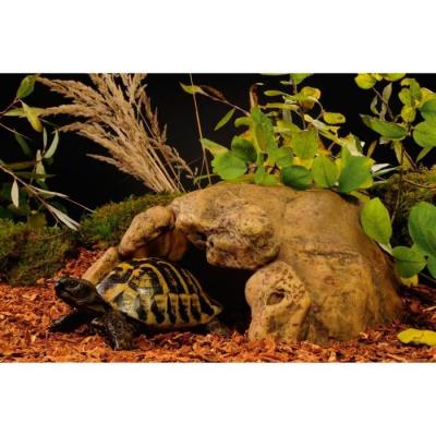 EXO TERRA Exoterra Caverne Xxl 40x30x20cm - Pour Tortues