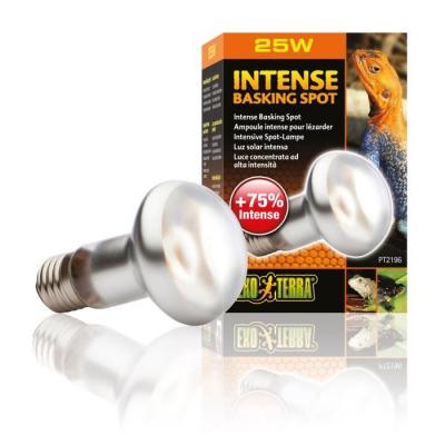 EXO TERRA Lampe pour terrarium  Intense Basking Spot 25W