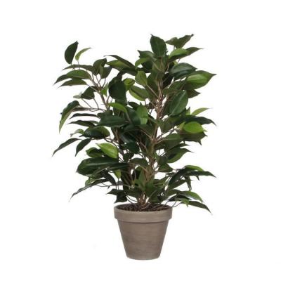 MICA DECORATIONS Fleur Plante Artificielle Ficus Natasja H40 cm - 