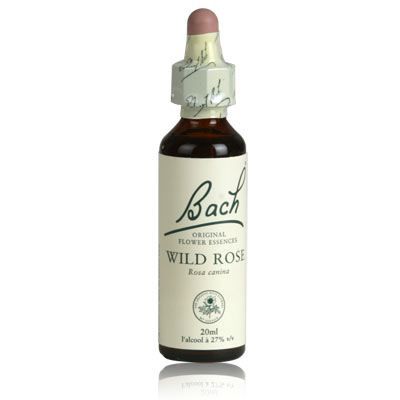 FLEURS DE BACH Fleur de Bach Wild Rose n&deg;37 - 20 ml