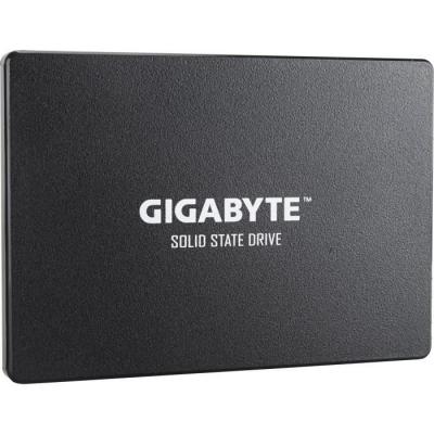GIGABYTE  - Disque SSD Interne - 256Go - 2,5 (GP-GSTFS31256GTND) 