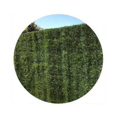 Haie Artificielle Vert Thuyas 127 Brins En Rouleau Europa 1 X 3 M
