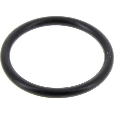 ARISTON GROUP Joint torique pompe de vidange c00054917 pour Lave-vaisselle Ariston