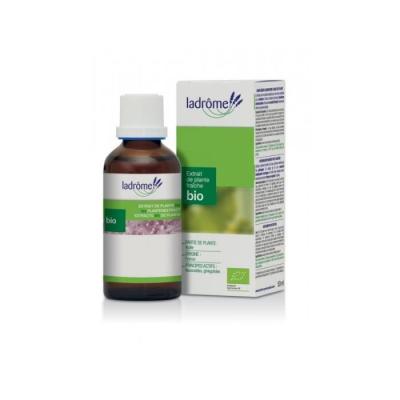 Huile Essentielle De Basilic Exotique Bio 10ml Ladr&ocirc;me