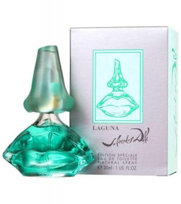SALVADOR DALI Parfum  &ndash; Eau de Toilette, 1er Pack (1 x 30 ml) 