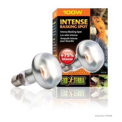 EXO TERRA Lampe pour terrarium  Intense Basking Spot 100W