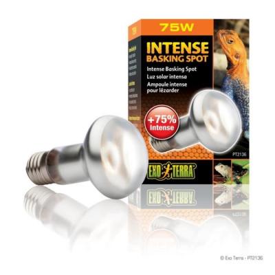 EXO TERRA Exoterra Ampoule Intense Basking Spot pour Reptiles et Amphibiens 75 W