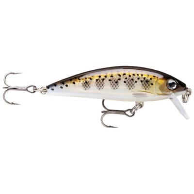 RAPALA Leurre  x-rap&reg; countdown&reg;