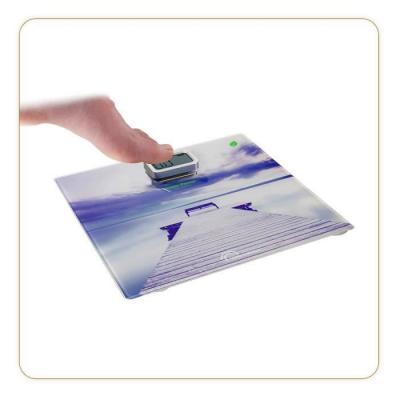 LITTLE BALANCE  Green Power Kinetic Ponton Zen - Balance