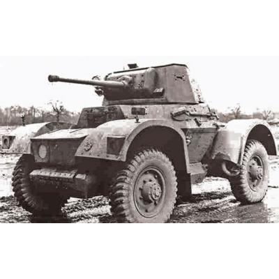 ZVEZDA  - Zv6229 - Britannique Amor. Car Dingo