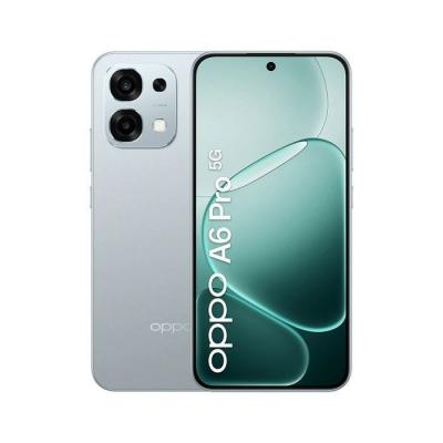 OPPO A6 Pro 5G 16,7 cm (6.57"") Double SIM Android 15 USB Type-C 8 Go 256 Go 6500 mAh Titane