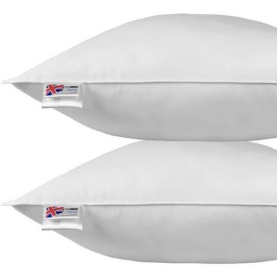 HOMESCAPES Oreiller en Plumes et duvet d'oie 80 x 80 cm - lot de 2