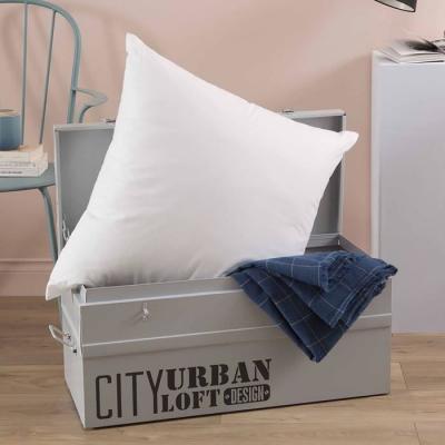 TOISON D OR Oreiller - Pollux - Confort Ferme - 65 X 65 Cm - Blanc 