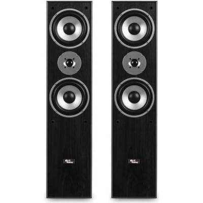 EVIDENCE ACOUSTICS Paire d'enceintes Hifi/Home-Cin&eacute;ma - EA700-BK - 2x500W PMPO - Bass Reflex &agrave; 3 voies - Noir - C&acirc;ble 5M