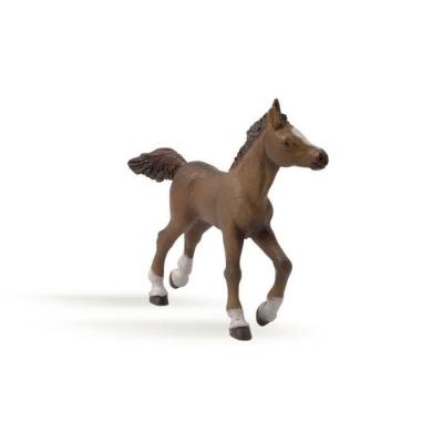 PAPO Figurine Cheval Anglo Arabe : Poulain