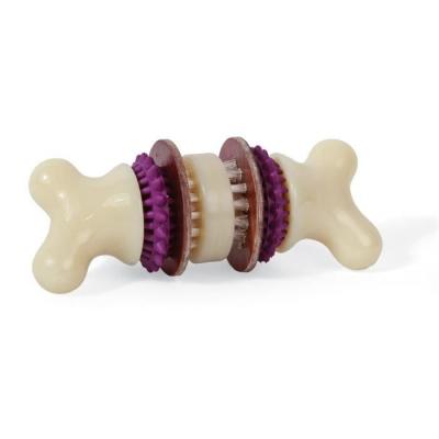 EUROTEK PETSAFE Jouet os nettoyant et friandise Bristle Bone M - Pour chien