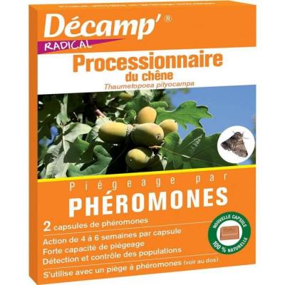 DECAMP PROCESSIONNAIRE DU CHENE-2cap. 'RADICAL