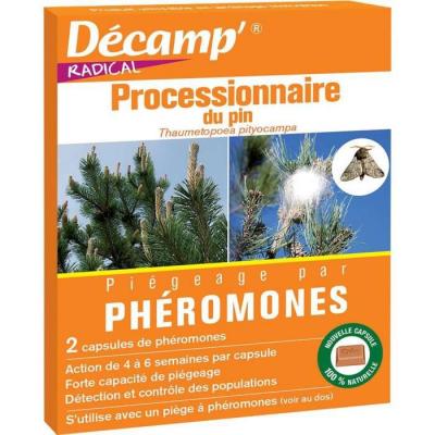 DECAMP Processionnaire du pin -thaumetopea 2 capsules 