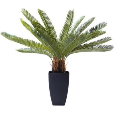 Plante d&eacute;corative Cycas 78cm Kare Design