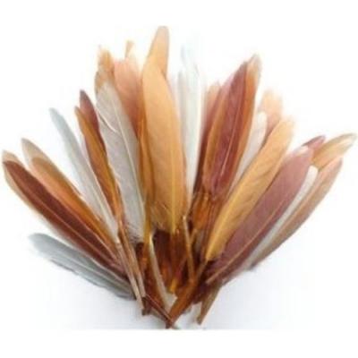 GRAINE CREATIVE Plumes d'indien camaieu beige sachet 10g 15cm - graine cr&eacute;ative