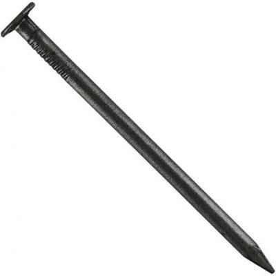 VYNEX Pointe t&ecirc;te plate D : 4.2 mm L : 100 mm - vybac de 1 Kg