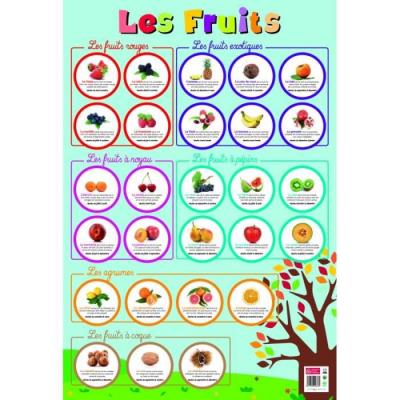 EDITIONS PICCOLIA Poster p&eacute;dagogique en PVC - 76x52 cm - Les Fruits