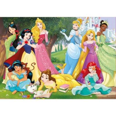 EDUCA Puzzle 500 pieces - les princesses se reposent dans le parc du chateau - collection  disney 