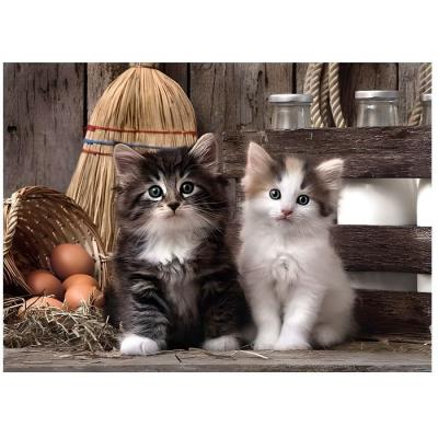 CLEMENTONI Puzzle Adulte 1000 Pieces : 2 Mignons Petits Chatons - Collection Animaux - Chat -  