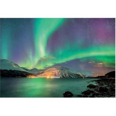 EDUCA Puzzle adulte aurore boreale - 1000 pieces - collection paysage de laponie