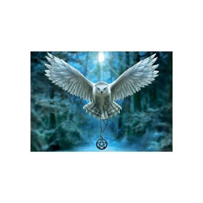 EDUCA Puzzle adulte chouette reveille ta magie - 500 pieces - collection animaux de la foret 