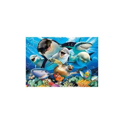 EDUCA Puzzle fond marins dauphins requins et orque - collection animaux de la mer - 500 pieces 