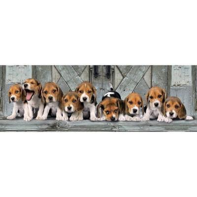 CLEMENTONI Puzzle panorama animaux : chiens beagles - 1000 pieces 