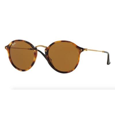 RAY BAN Ray-Ban RB 2447 1160 - Round Fleck   49-21mm   Lunettes de Soleil