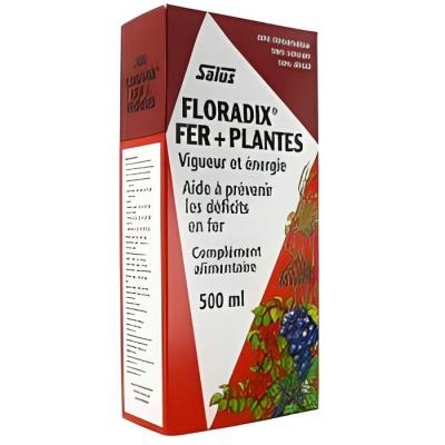 BOUTIQUE NATURE Floradix Fer + Plantes en bouteille - 500 ml