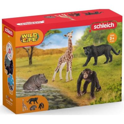 SCHLEICH Kit de base wild life -  - 72162 - a partir de 3 ans SCH372162