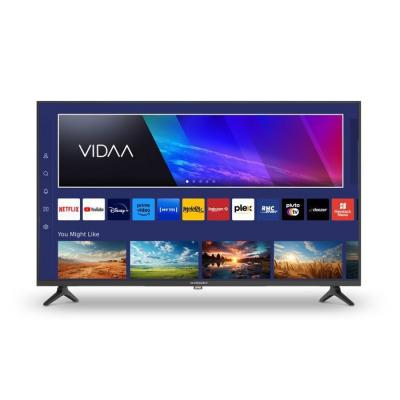 SCHNEIDER  T&eacute;l&eacute;viseur HD 40 pouces 40A2