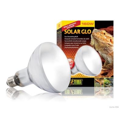 EXO TERRA Exoterra Ampoule et Solar Glo pour Reptiles et Amphibiens 160 W