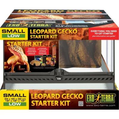  Kit terrarium pour Leopard Gecko 45 x 45 x 30cm Exo Terra