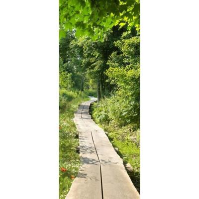 PLAGE  141030 Sticker Trompe l'&oelig;il Porte - Chemin dans l'herbe, 204 x 83 cm