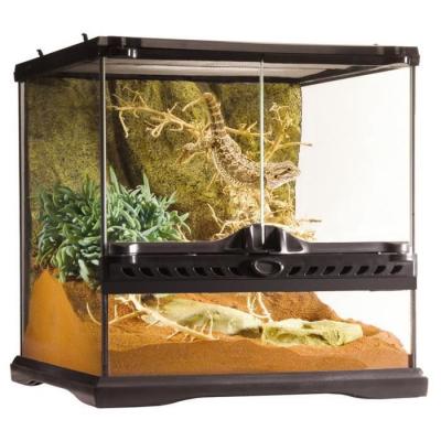 EXO TERRA  Terrarium En Verre Natural Terrarium 27 Lts