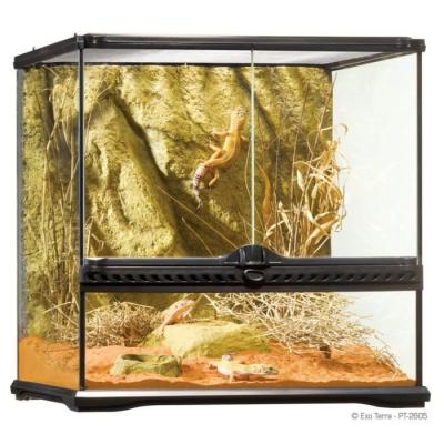 EXO TERRA  - Terrarium en Verre pour Reptile - 45x45x45cm