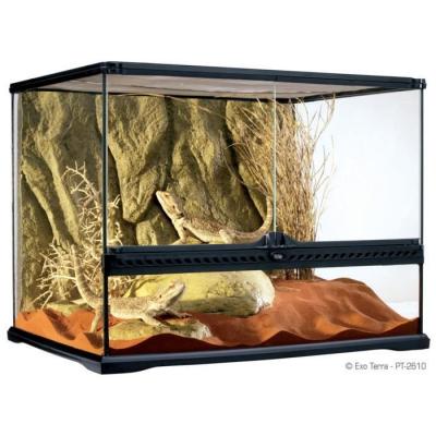 Exoterra Terrarium en Verre pour Reptiles et Amphibiens 60x45x45 cm