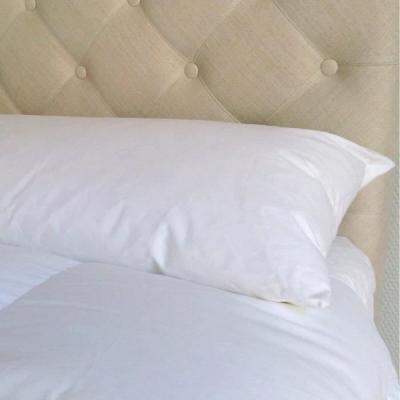 CASTEX COUETTES NATURELLES Traversin plat naturel moelleux en plumes et duvet 90 cm