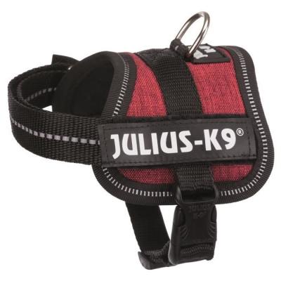 TRIXIE Harnais Power Julius-K9&reg; - Baby 1/Xs: 30-40 Cm/18 Mm, Bordeaux