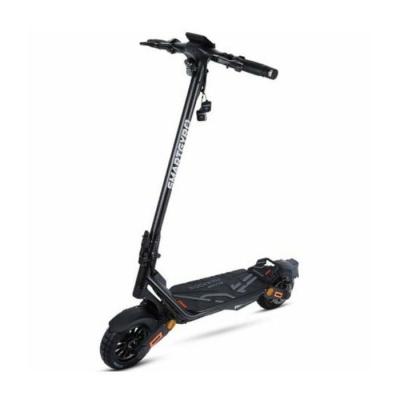  Trottinette &eacute;lectrique smartgyro sg27-552 