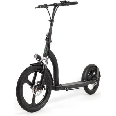 YOUIN Trottinette Electrique  - YOU-GO 2XL La Plus Stable