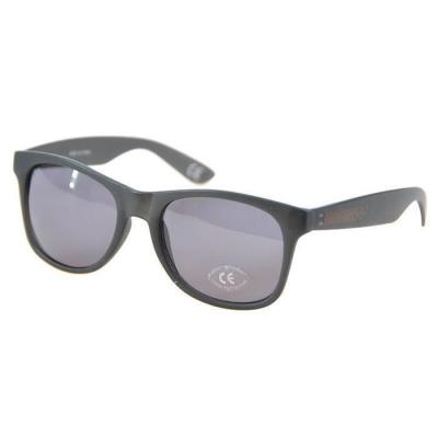 VANS  - Spicoli 4 Shades Black Frosted Translucent - Lunettes De Soleil